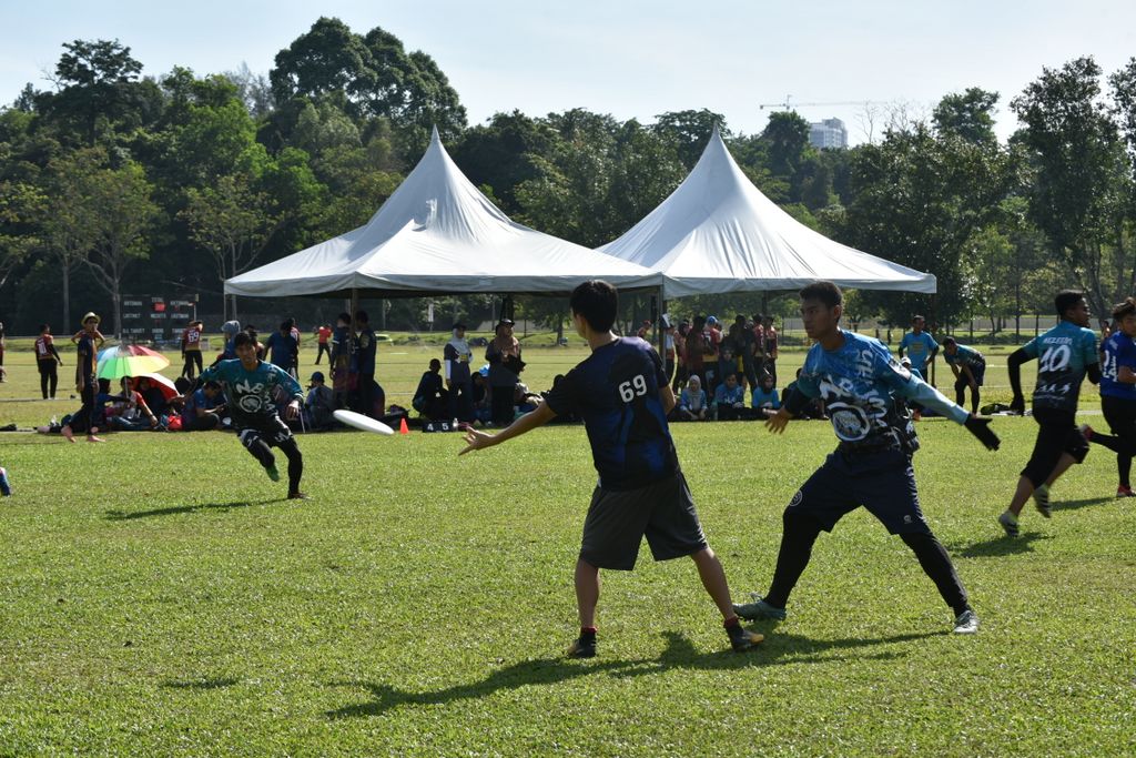 Dsc 0585